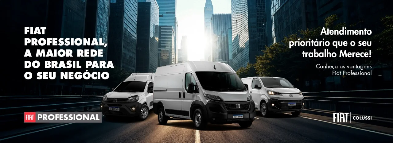 FIAT PROFESSIONAL
